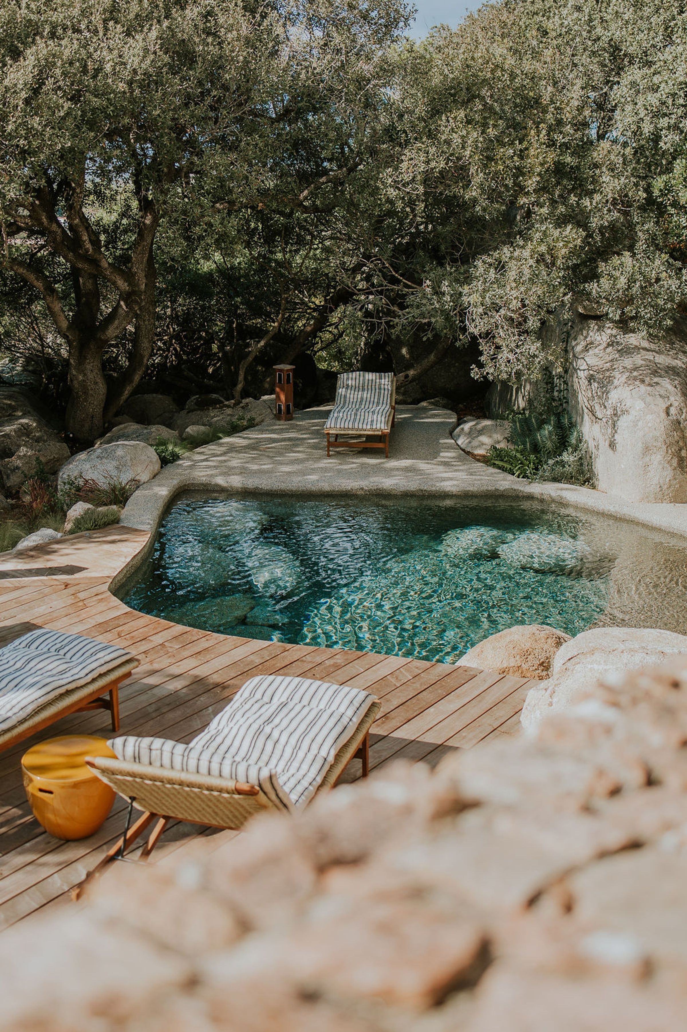 Casa Rossa pool deck with sun loungers and native landscaping, Porto-Vecchio, Corsica, France